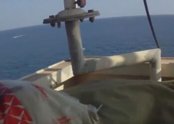 Somali pirates lose gunfight with armed guards on cargo ship in dramatic footage – World Information