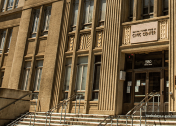 Give enter to Metropolis Council on fowl security necessities for development