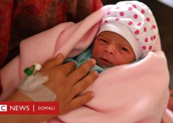 Daraasad: “Cunnada aabbaha qeyb weyn ayay ka tahay uur-qaadista”