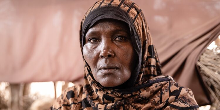 Hundreds of thousands of Somali uprooted attributable to drought and a number of conflicts | Battle Information