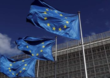 EU Approves EUR 20.5 Million Price range Assist to Somalia – The Somalia Investor Journal