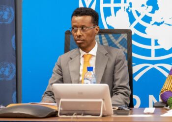 Somalia’s Nationwide Safety Advisor Outlines Bold Plan for ATMIS Withdrawal – Somali Nationwide Information Company