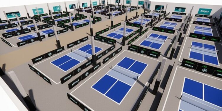 Minnesota Procuring Middle Is Being Turned Into Picklball Advanced