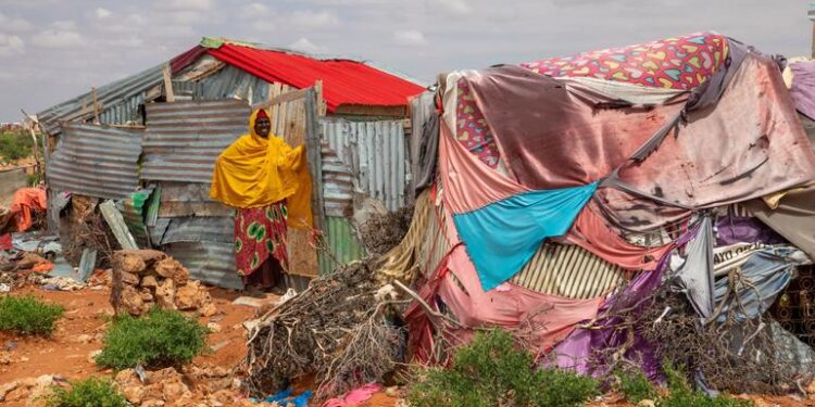 UN and companions search $7 billion to forestall disaster within the Horn of Africa