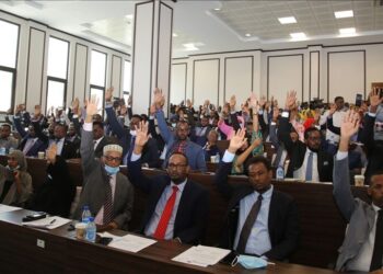 Somali lawmakers to donate 20% of their salaries to quake victims in Türkiye