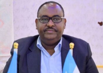 President Deni’s Formidable Purpose Faces Roadblocks and Controversy – Puntland Put up