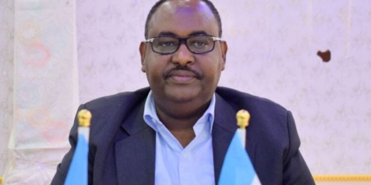 President Deni’s Formidable Purpose Faces Roadblocks and Controversy – Puntland Put up