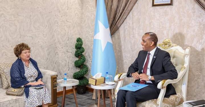 Ra’iisul wasaare Xamse oo qaabilay Ergeyga cusub ee Qaramada Midoobay – Puntland Put up