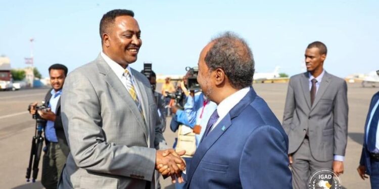 President Hassan Sheikh Mohamud Arrives in Djibouti to Attend IGAD Summit. – Somali Nationwide Information Company