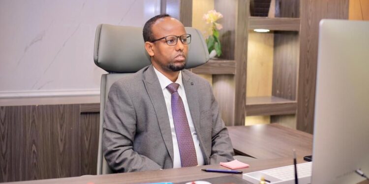 Minister of Well being addresses Tobacco Use and Taxation at Excessive-Degree assembly – Somali Nationwide Information Company