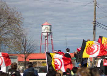 Victory for the East Phillips City Farm | the alley Newspaper