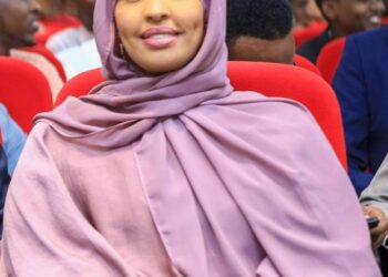 President’s Adviser Welcomes Cupboard’s Approval of Somalia Arms Invoice – Somali Nationwide Information Company
