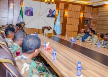Madaxweyne Axmed Madoobe oo guddoomiyay Shir ku saabsan Amniga Jubaland – Puntland Put up