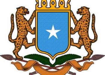 Ambassador Ilyas Sheikh Omar Enhances Academic Collaboration with Egypt. – Somali Nationwide Information Company