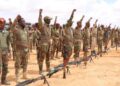 Howlgal ka dhacay degmada Waajid oo lagu dilay 25 ka tirsanaa Al-Shabaab