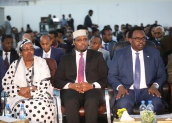 Ministry of Planning inaugurates the Pillar Working Group for Help Structure assembly – Somali Nationwide Information Company