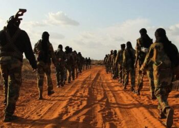Nationwide Military Retakes Wabxo City in Galgaduud Area, Repels Extremist Risk – Somali Nationwide Information Company
