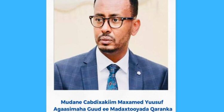President Hassan Sheikh appoints Director Normal of the Presidential Palace – Somali Nationwide Information Company