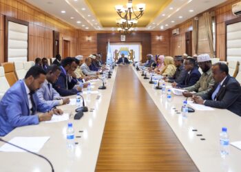 Somali cupboard discusses safety amid stepped up struggle on Al-Shabaab