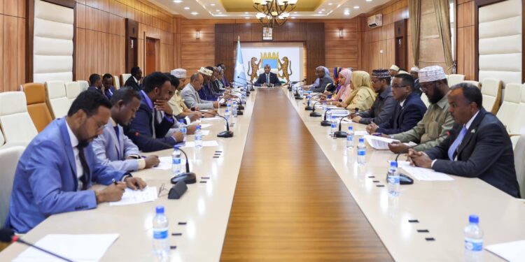 Somali cupboard discusses safety amid stepped up struggle on Al-Shabaab