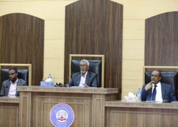 Higher Home of Somalia passes first studying of Auditor Basic’s invoice – Somali Nationwide Information Company