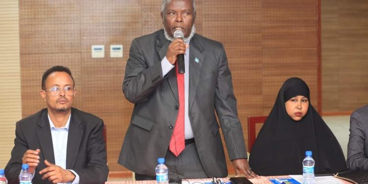 Ministry of Info Launches Coaching Program to Fight Extremist Ideologies – Somali Nationwide Information Company