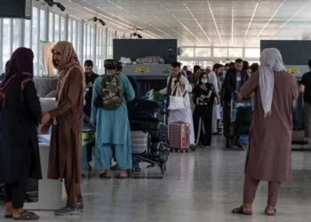 Taliban cease women leaving Afghanistan to check overseas
