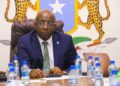 Somalia says military killed over 160 militants in joint offensive