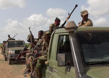 Somali Govt says military killed 23 militants, together with Al-Shabaab commanders