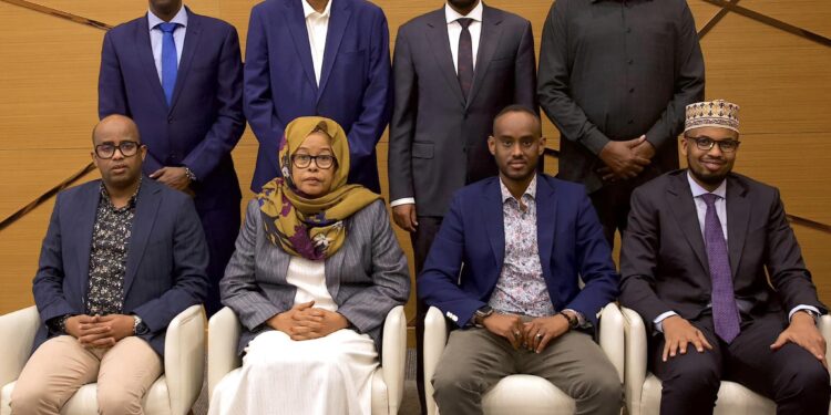 Somalia strikes to unify tax and reform monetary system to satisfy debt reduction