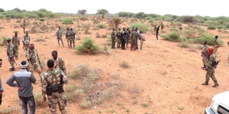 Somali Nationwide Military foils two suicide automotive bomb assaults – Somali Nationwide Information Company