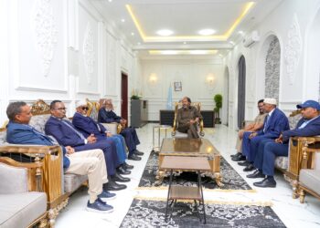 President Hassan Sheikh receives former Audio system of Somalia – Somali Nationwide Information Company