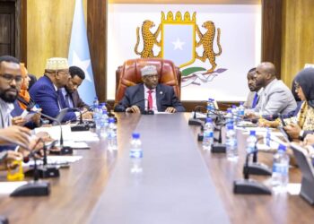 The Speaker of the Home of the Folks chaired the thirty first assembly of the Standing Committee – Somali Nationwide Information Company