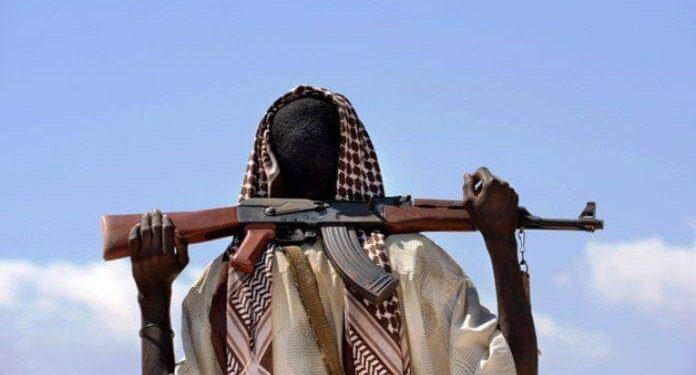 Maleeshiyaad lagu daabulay Qorilugud oo dhaq dhaqaaq ciidan sameeyay – Puntland Publish