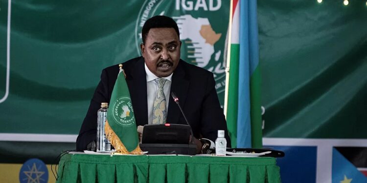 IGAD Urges Harmonization of Diaspora Transaction Charges to Increase Inflows – The Somalia Investor Journal