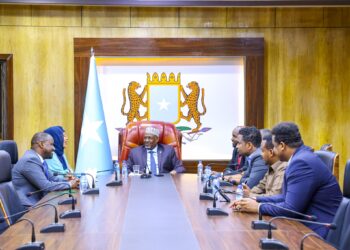 Speaker of the Parliament meets committee that represented Somalia within the IPU – Somali Nationwide Information Company