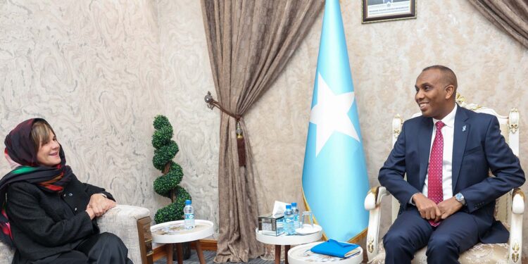 Somalia’s PM meets EU ambassador