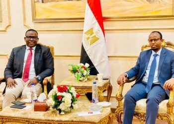 Minister of Well being and his delegation arrive in Cairo – Somali Nationwide Information Company