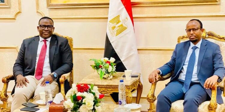 Minister of Well being and his delegation arrive in Cairo – Somali Nationwide Information Company