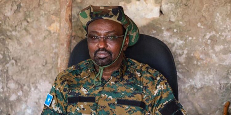 Hirshabelle vp accuses federal govt of undermining regional growth