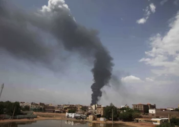 Artillery fireplace has killed 11 folks and wounded 90 in a significant Sudanese metropolis, help group says – Somali Nationwide Information Company