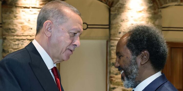 Somalia’s president, Turkish chief focus on ‘issues of mutual curiosity’