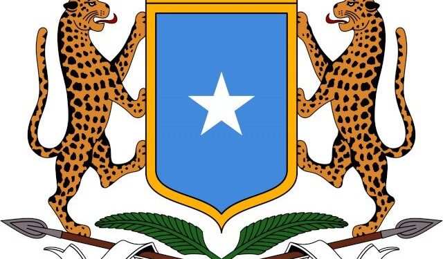 Federal Authorities of Somalia condemns the cowardly assault in Ankara – Somali Nationwide Information Company