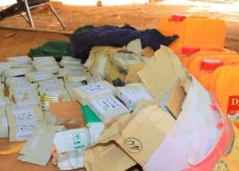 Somali safety forces intercept automobile bomb in Dolow, Gedo area
