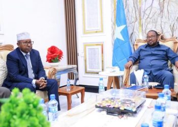 Hoggaamiyaha Maamulka SSC-Khaatumo oo la kulmay Wasiirka Arrimaha gudaha Soomaaliya – Puntland Publish