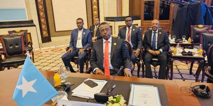 Minister of Justice Highlights Somali Dedication on the Arab League Assembly in Baghdad – Somali Nationwide Information Company