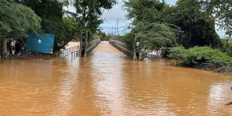 Demise toll from flooding in south Somalia rises to 42 – official