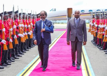 Somali President pushes for Somalia’s integration with East African Group at Arusha Summit – Somali Nationwide Information Company