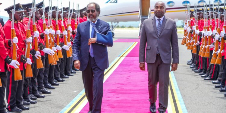 Somali President pushes for Somalia’s integration with East African Group at Arusha Summit – Somali Nationwide Information Company