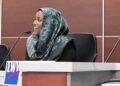 Somali-American lady elected as mayor of Saint Louis Park, Minnesota – Somali Nationwide Information Company